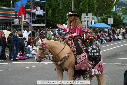 This filly was a breeding of an outside mare, and she has taken her young lady to many titles and honors as a rodeo court horse and barrel horse! Multipurpose horses that look GREAT! 